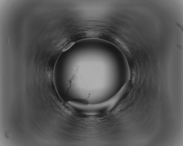 X0000091900329200709051407