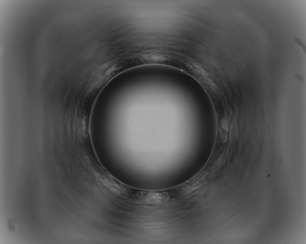 X0000091900330200709051407