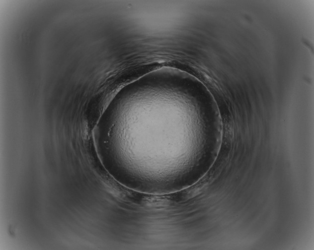 X0000091900331200709051407