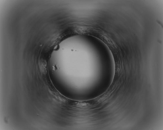 X0000091900332200709051407