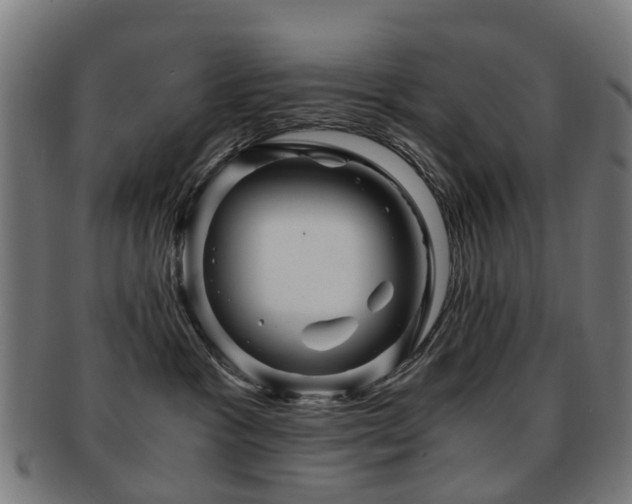 X0000091900333200709051407