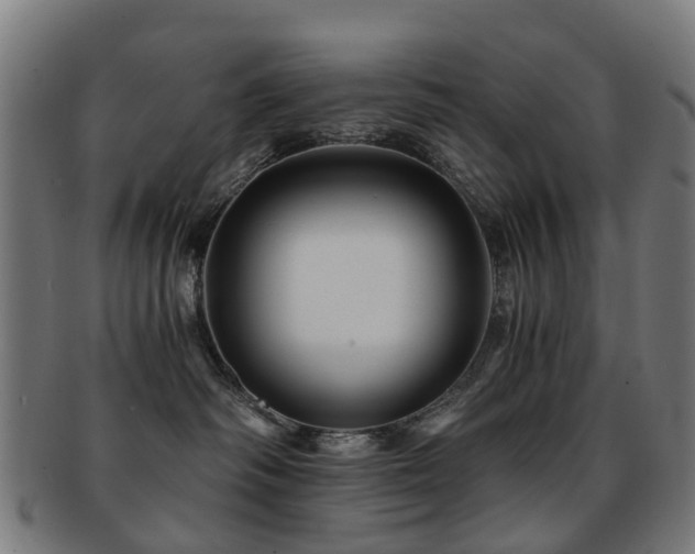 X0000091900334200709051407