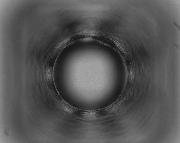 X0000091900335200709051407