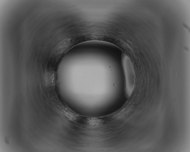 X0000091900336200709051407