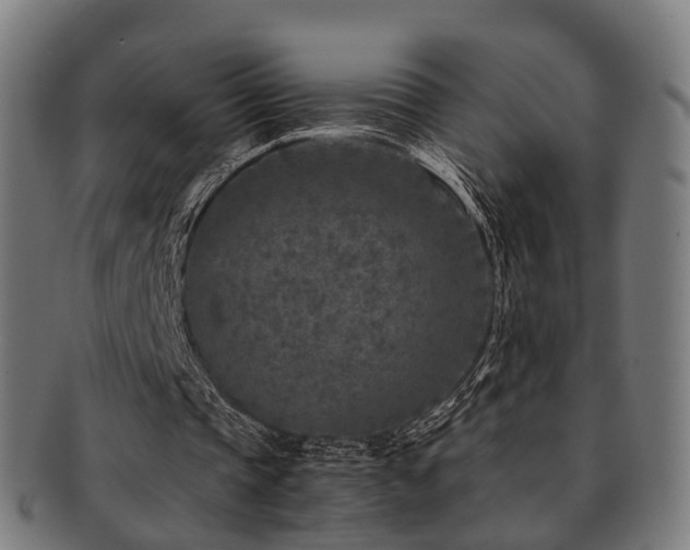 X0000091900337200709051407