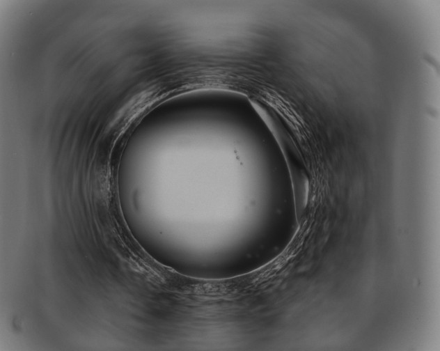 X0000091900338200709051407