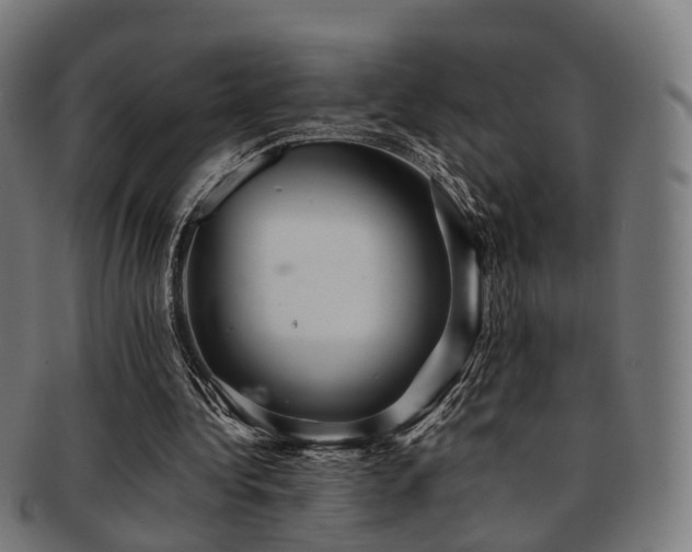 X0000091900340200709051407