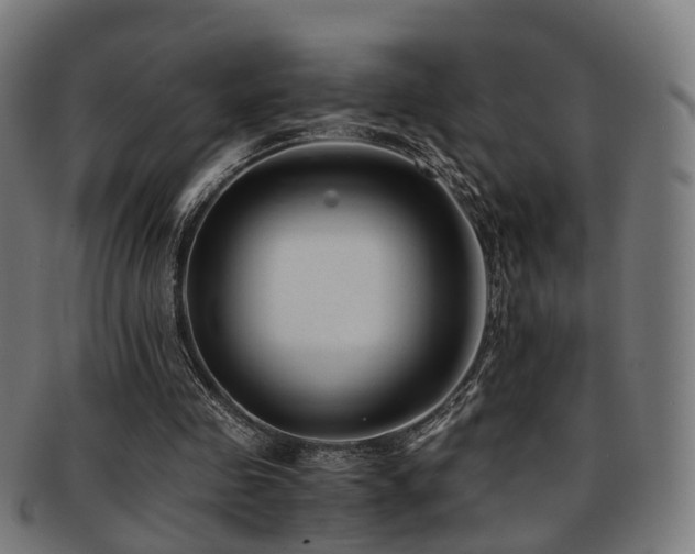 X0000091900341200709051407