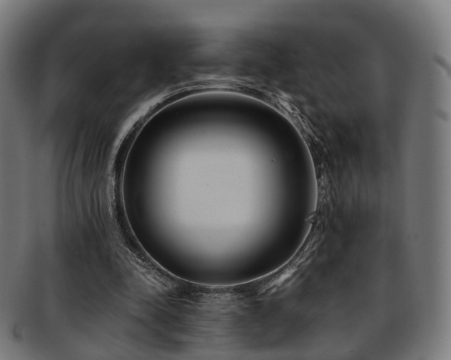 X0000091900342200709051407