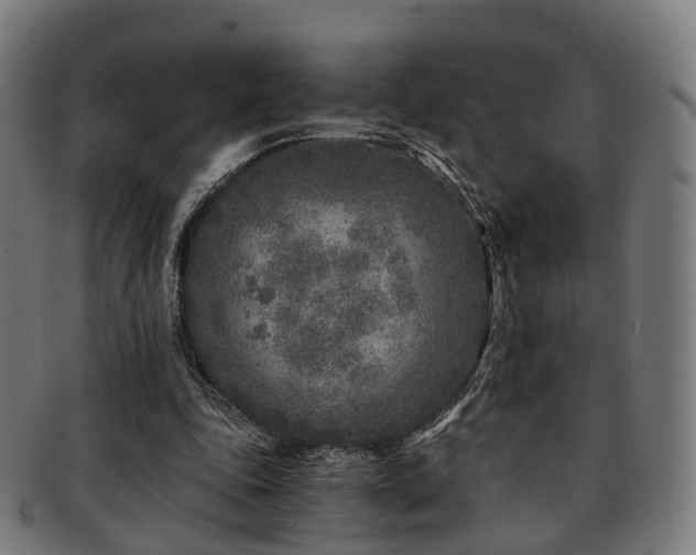 X0000091900343200709051407