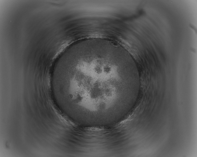 X0000091900347200709051407