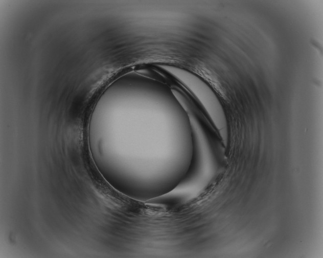 X0000091900348200709051407