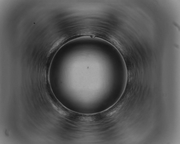 X0000091900349200709051407