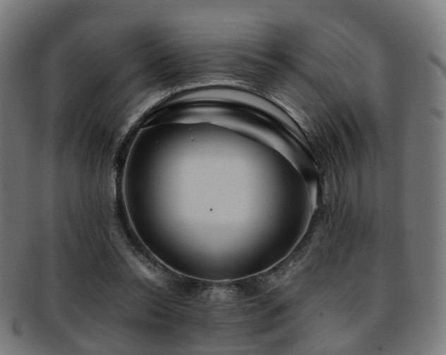 X0000091900350200709051407