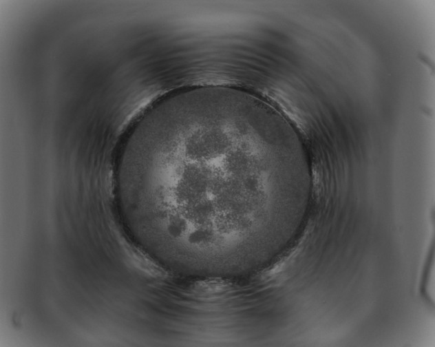 X0000091900351200709051407