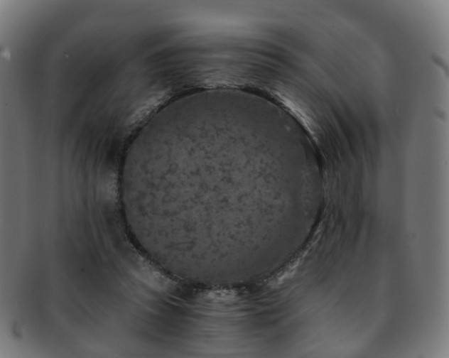 X0000091900353200709051407