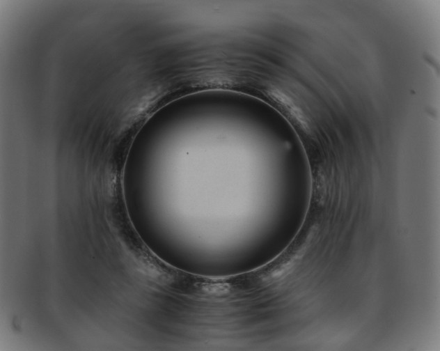 X0000091900355200709051407