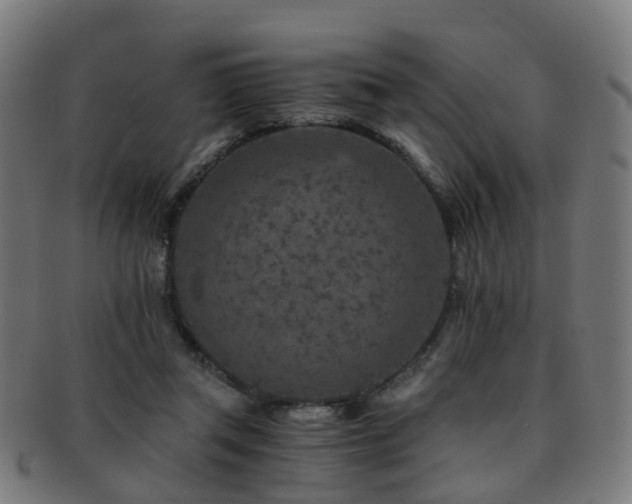 X0000091900357200709051407