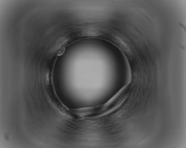 X0000091900358200709051407