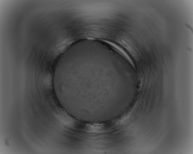 X0000091900359200709051407