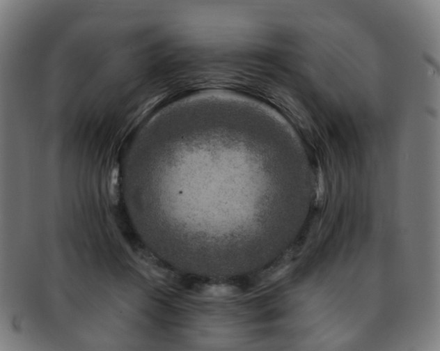 X0000091900360200709051407