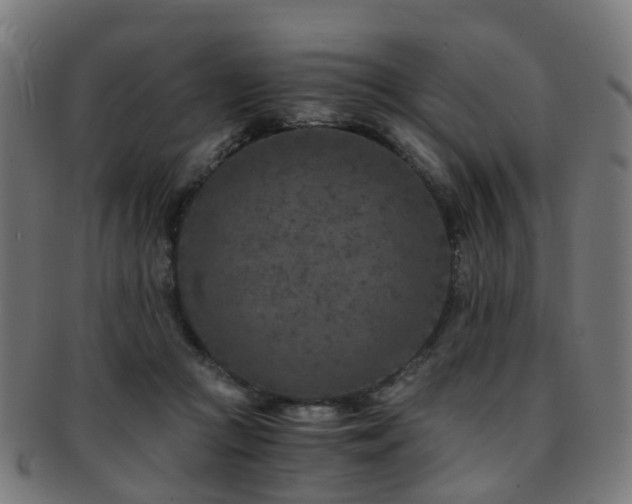 X0000091900361200709051407