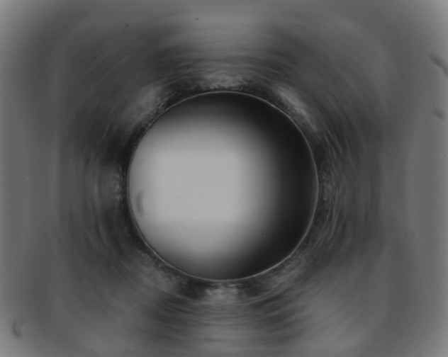 X0000091900362200709051407