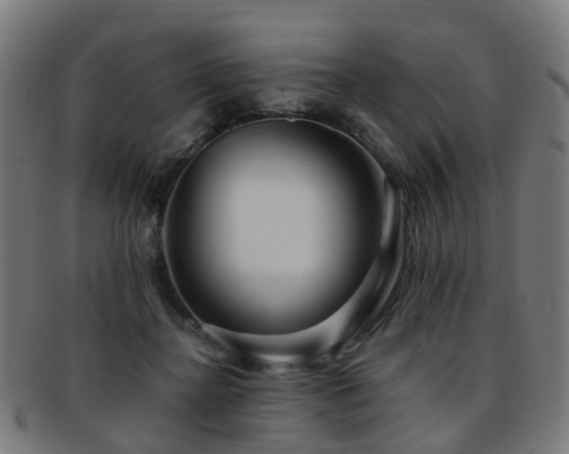 X0000091900364200709051407