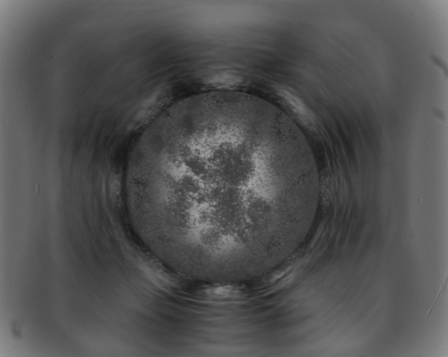 X0000091900365200709051407