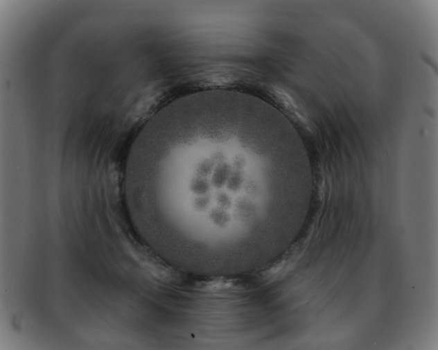 X0000091900366200709051407