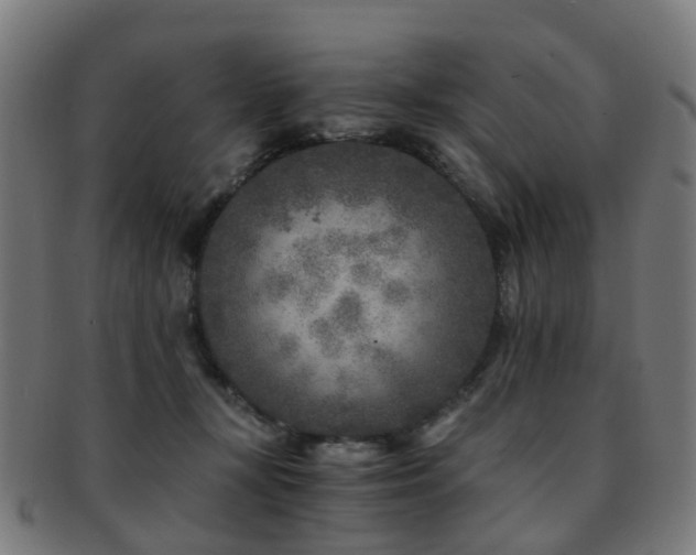 X0000091900367200709051407