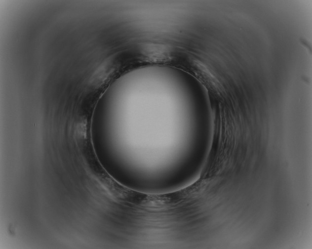 X0000091900368200709051407