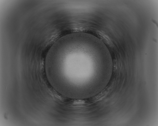 X0000091900369200709051407