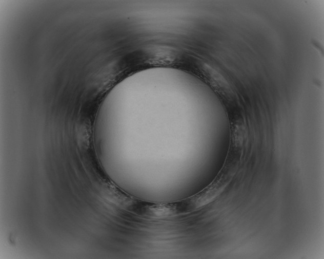 X0000091900370200709051407