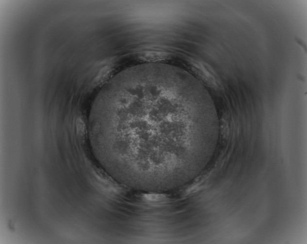 X0000091900371200709051407