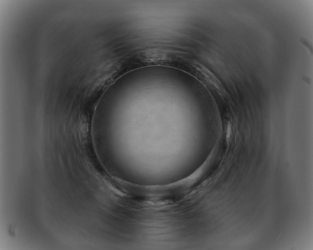 X0000091900372200709051407