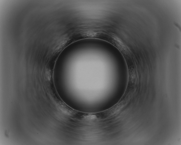 X0000091900374200709051407