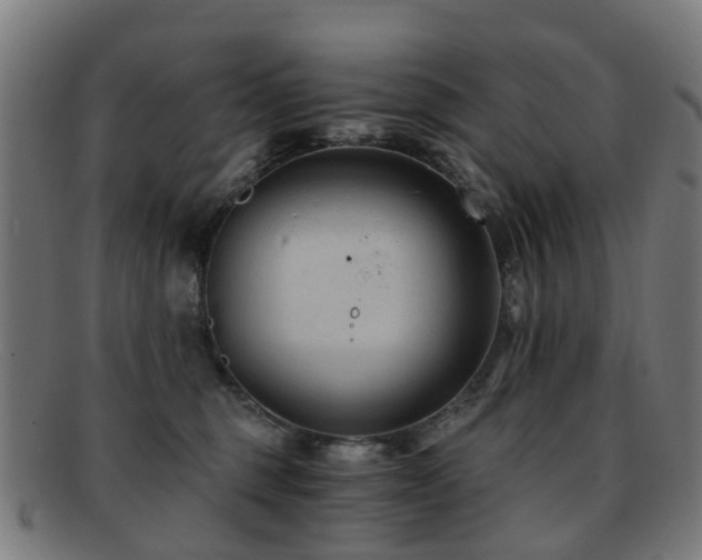 X0000091900375200709051407