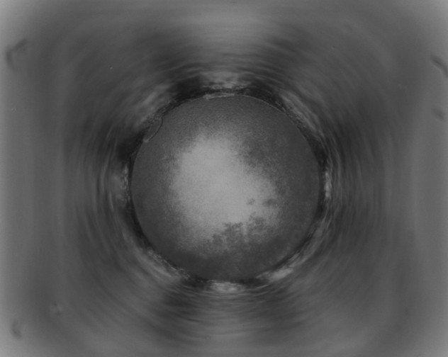 X0000091900376200709051407