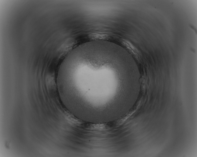 X0000091900377200709051407