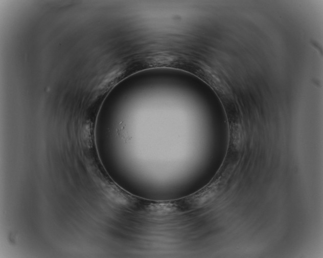 X0000091900378200709051407