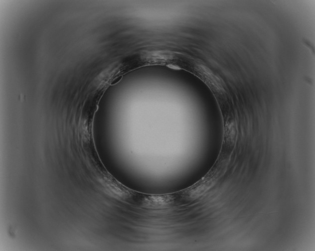 X0000091900381200709051407