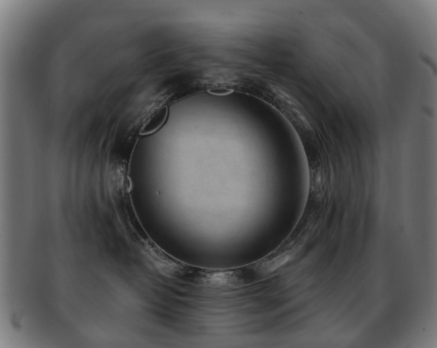 X0000091900382200709051407