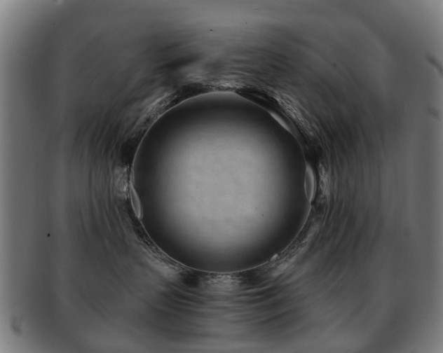 X0000091900383200709051407