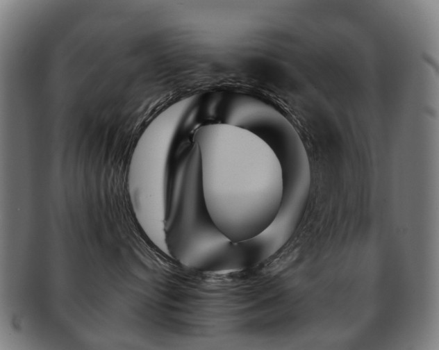 X0000091900384200709051407