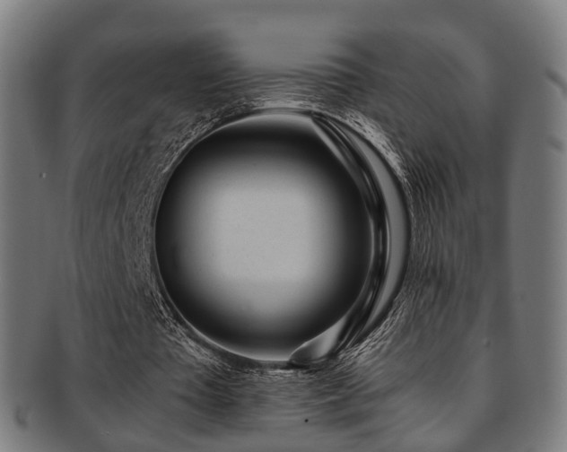 X0000091900385200709051407