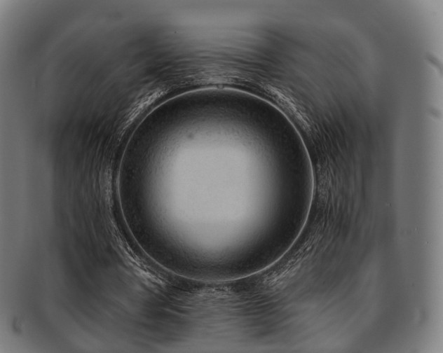 X0000091900386200709051407