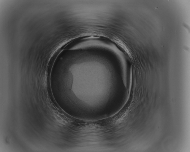 X0000091900387200709051407