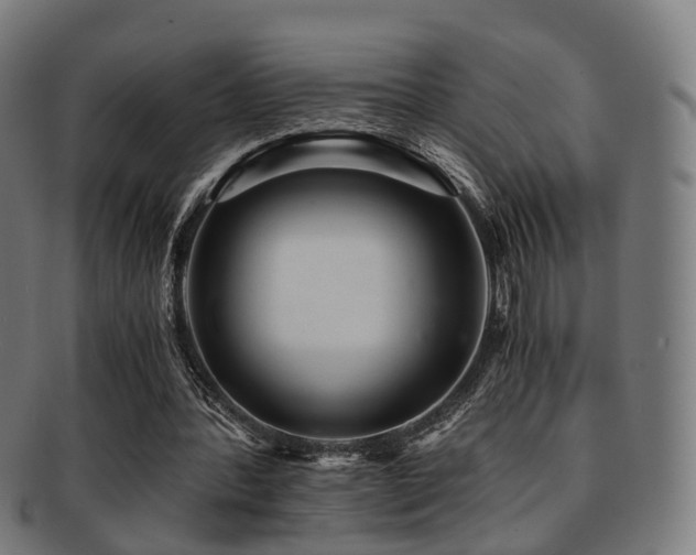 X0000091900388200709051407