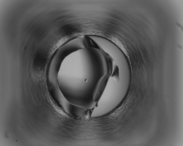 X0000091900389200709051407